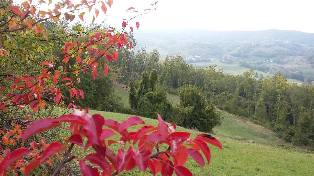 Uno Chalet Nel Bosco Villa Lama Mocogno Eksteriør bilde